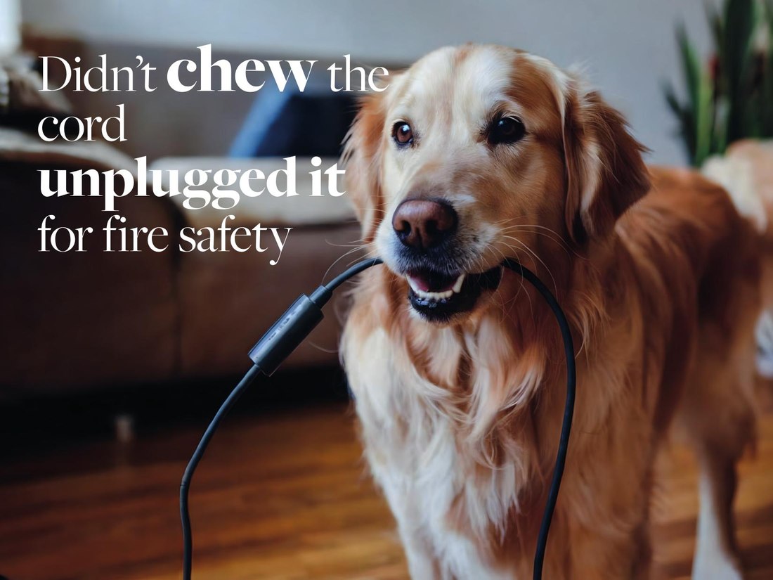 Mischief — didn't chew the cord, unplugged it for fire safety